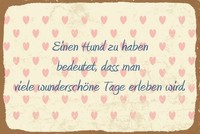 Blechschild 30X40 Cm Hund Haben Bedeutet Schild Deko Geschenk Schild