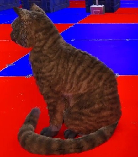 Ark Ascended - PVE - Cat Lvl 231 "TOP" (Clone/Male) - ( PC / Xbox / PS5 ) - Picture 3 of 4