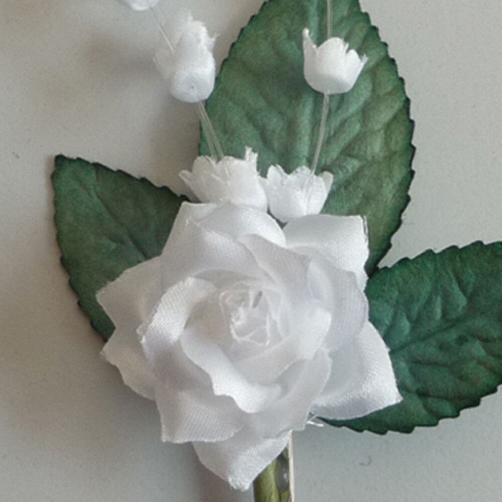 Bild 4 von 5