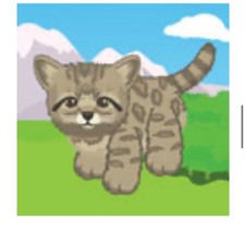Webkinz Classic Andean Mountain Cat CODE Soph...