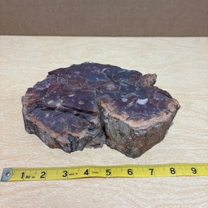 Fantastic Piece of Red Petrified Wood