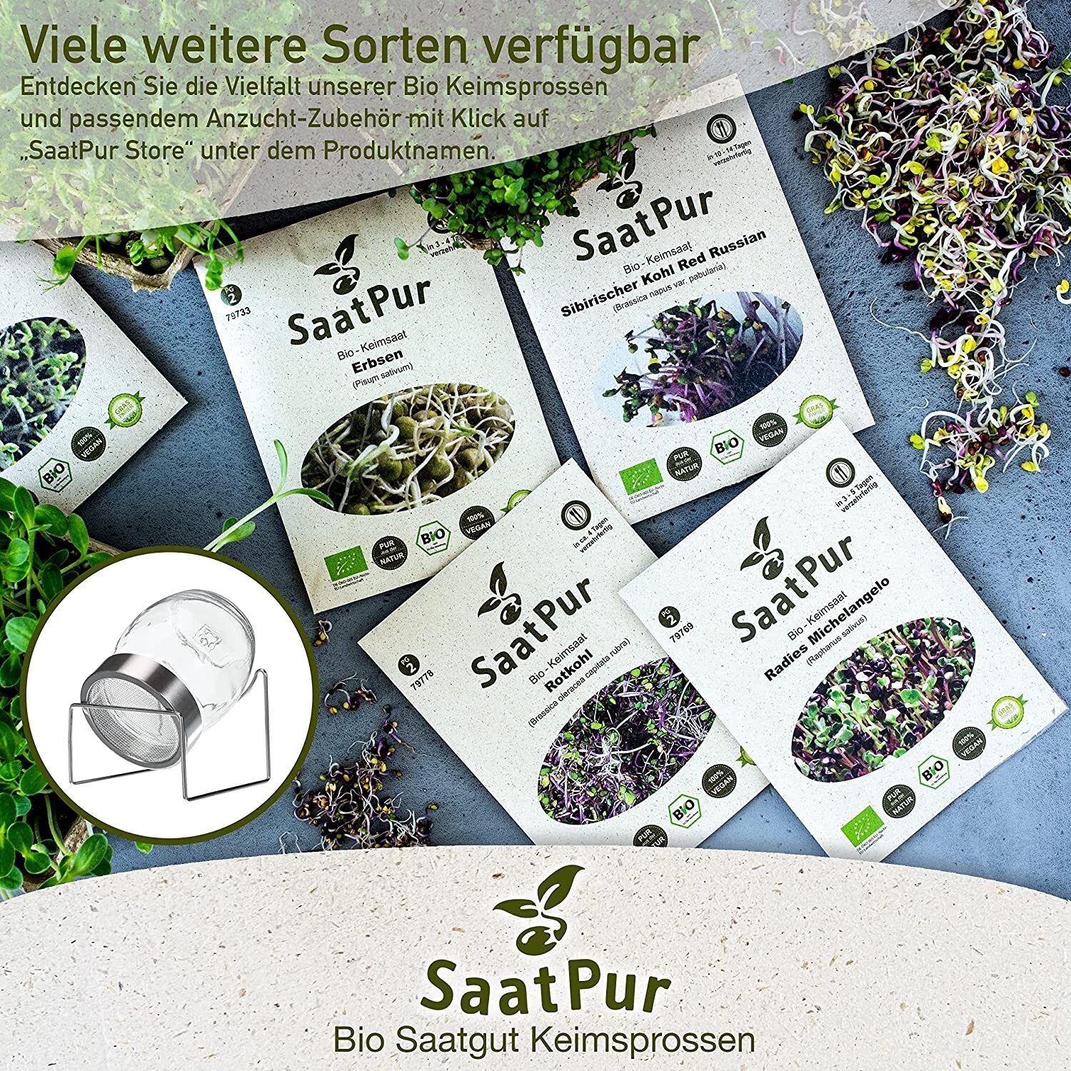 Bild 5 von 5