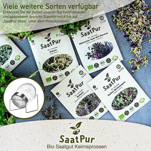 1kg BIO Keimsaat für Sprossen Radies Red Rubin Samen Keimsprossen Microgreens - Bild 5 von 5