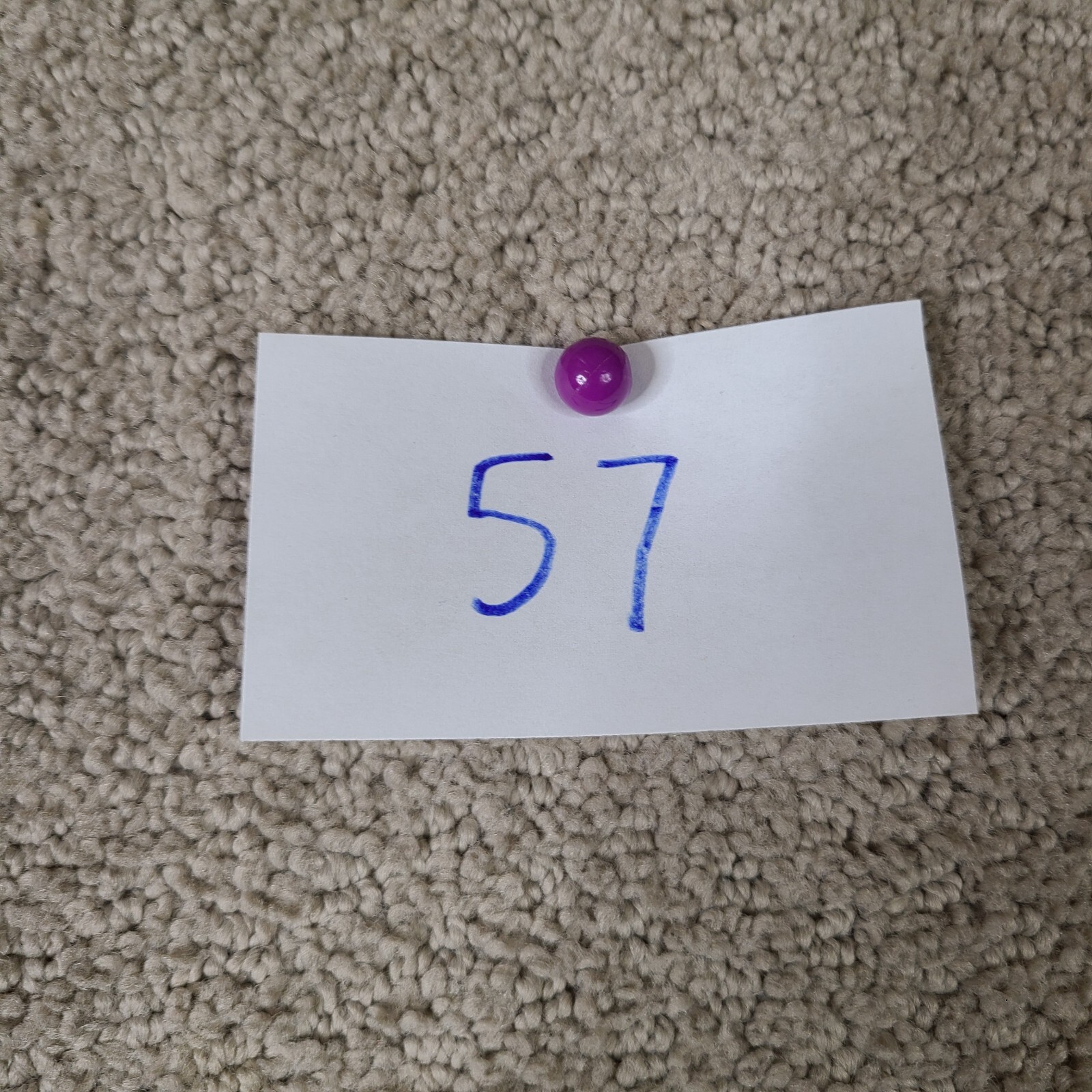 Picture 14 of 14