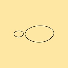 Riemen Set für Grundig Studio 3010 A Tape Deck Compact System