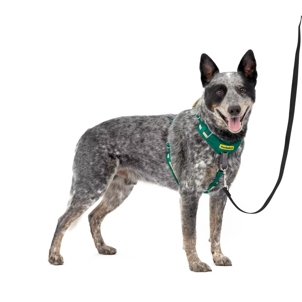 PetSafe Comfort No Pull Adjustable Dog Harness - M - Green