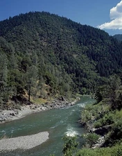 Trout Stream,Cascade Mountains,Washington,WA,Landscape,Nature,Carol Highsmith