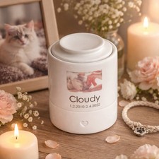 Personalized Photo Pet Urn Ceramic Dog or Cat Cremation Urn with Name and Dates
