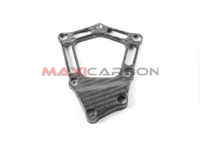 Abdeckung Pick-up Carbon BMW HP4 (2013-2014) / Pick-up Cover Carbon