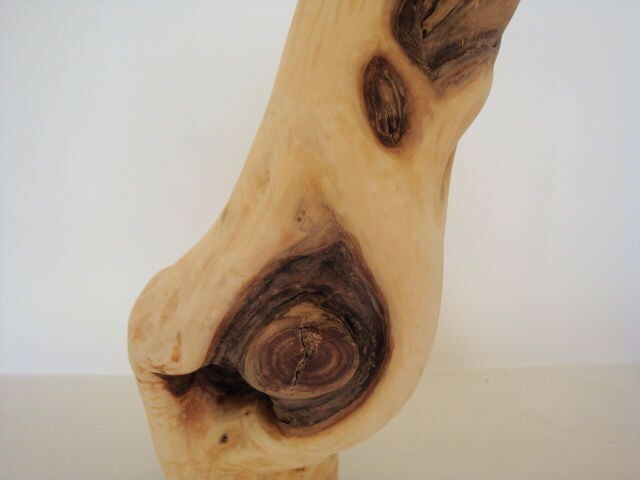 Picture 5 of 6