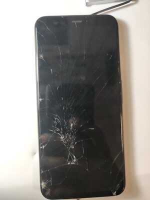 Cracked Google Pixel Screen Black Ink Spot XC31 UK