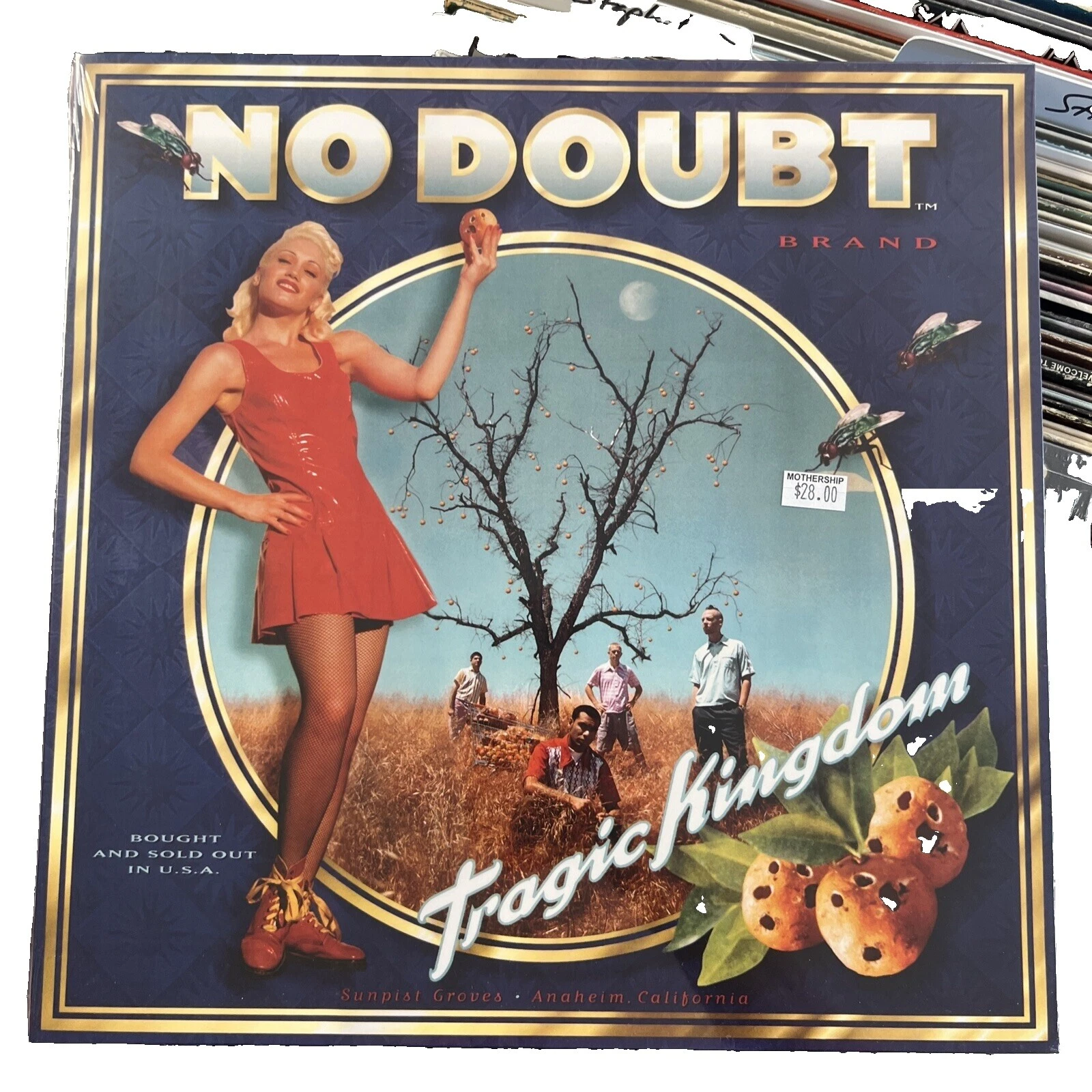 No Doubt Rock 33 RPM Speed Vinyl Records