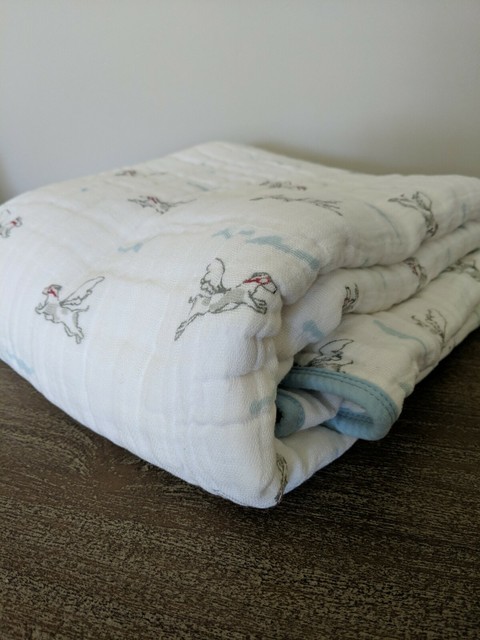 aden and anais winnie the pooh dream blanket