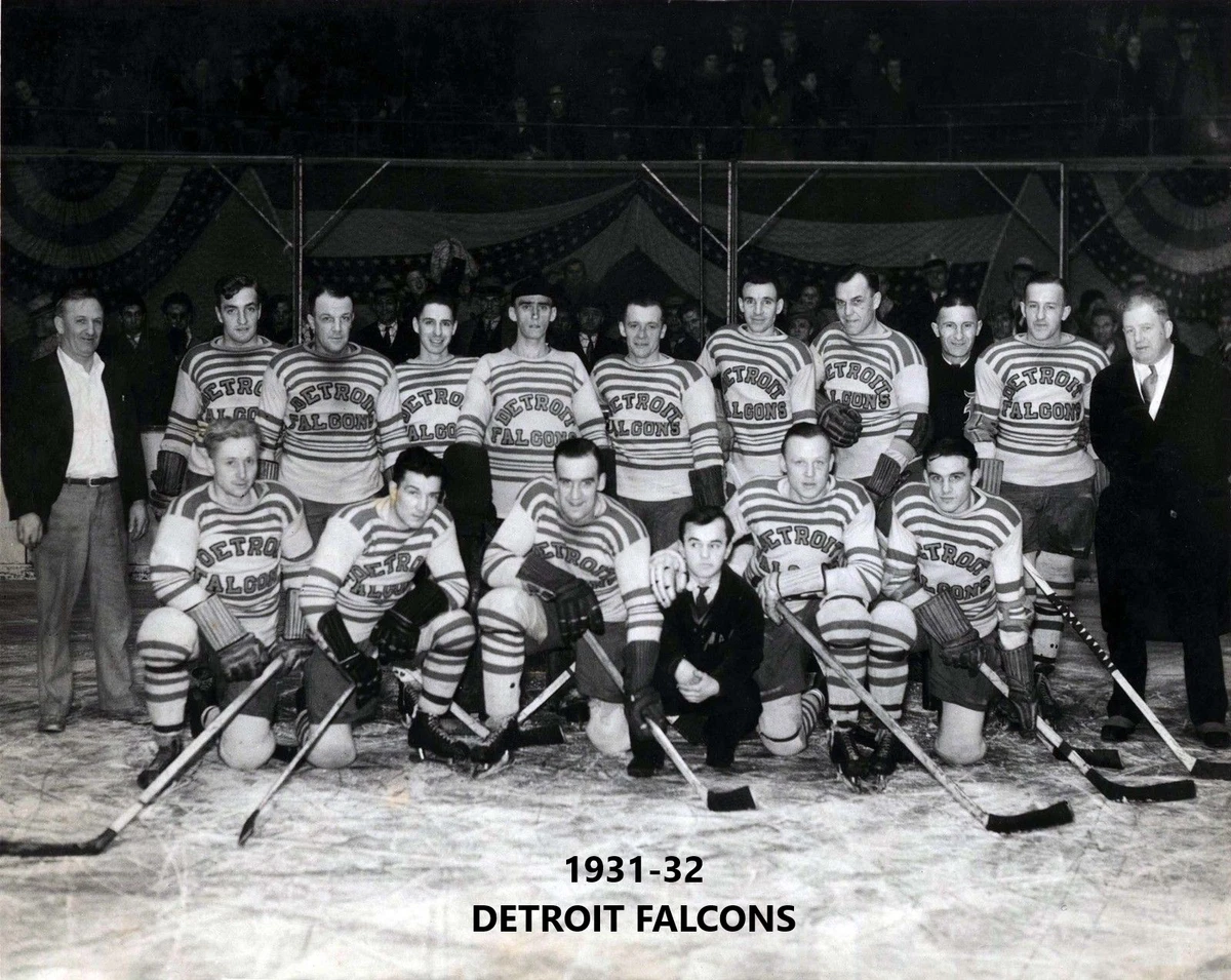 Detroit falcons sale hockey jersey