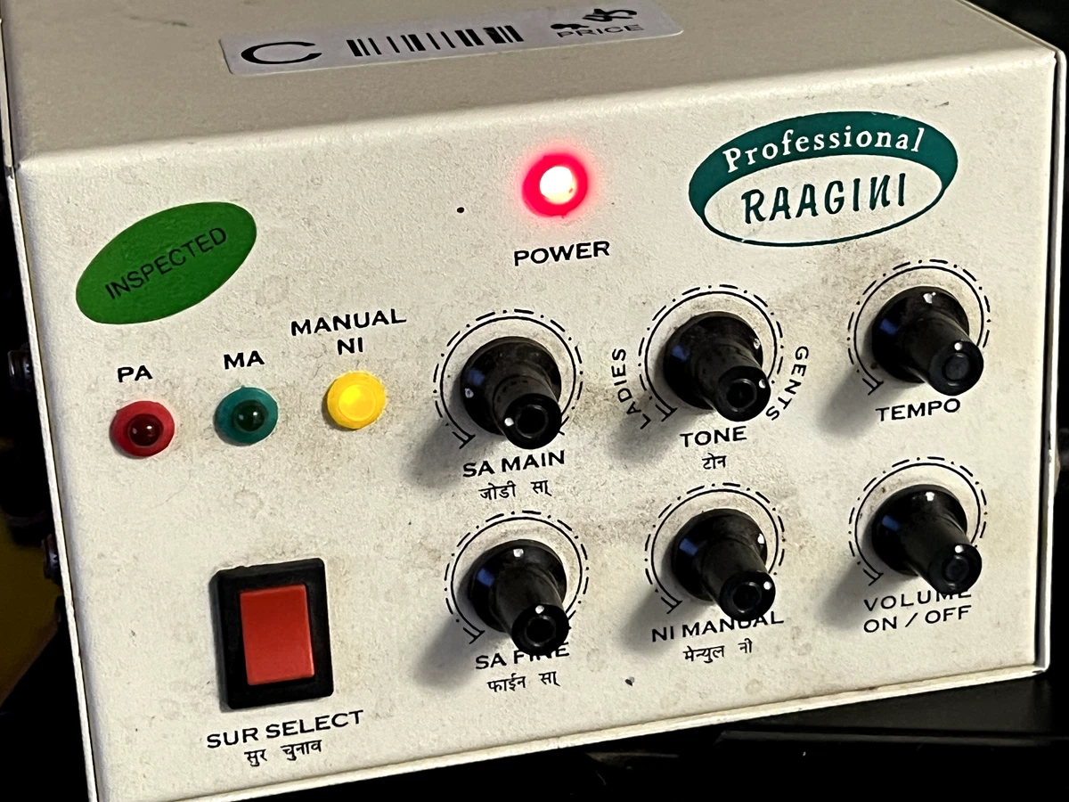Professional Raagini pro Audio