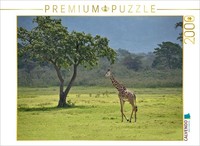 Calvendo Puzzle Giraffe | 2000 Pieces, Finished Size 35.4 × 26.4 In (90 × 67 Cm)