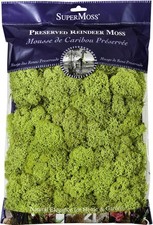 Super Moss 21669 Reindeer Moss Preserved, Chartreuse, 8oz 200 cubic inch