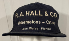 Vintage R A Hall  Co Watermelons Citrus Mens Cap Lake Wales Florida