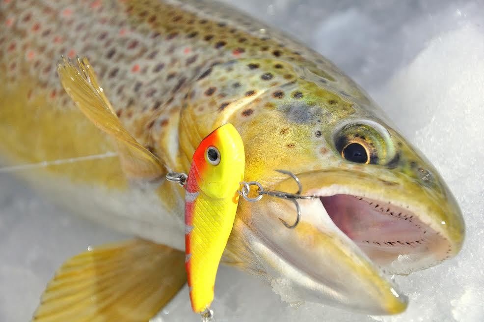 Ice Fishing Lure, Ice Jig, Dynamic Lures HD ICE Fishing Lure (Fire Craw