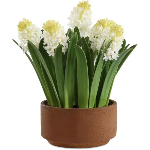 Uttermost 60242 Sincerity White and Green and Terracotta Potted Hyacinth Plant - Picture 1 of 5