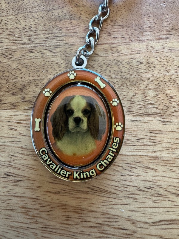 Cavalier King Charles Spaniel Key Ring Key chain beautiful Finish Key Fob  Photo