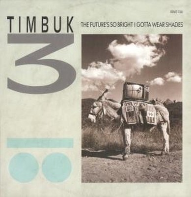 Timbuk 3 Future's So Bright I Gotta Wear Shades 12'' Vinyl UK IRS 1986 In Bild