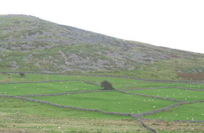 Foto 6x4 Feldsysteme unten Pen-y-Gaer Gryn Goch The 'cloddiau c2006