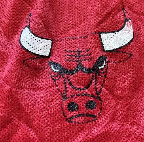 VTG Champion Chicago Bulls NBA Red Basketball Shorts Size XL Made in USA - Picture 5 of 10
