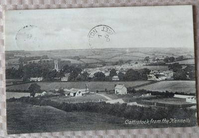 Cattistock - Dorset - Blick von den Zwingern - Frith