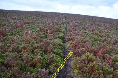Foto A2 West Somerset: Exmoor - Moorlandschaft Codensend Blick über 2014