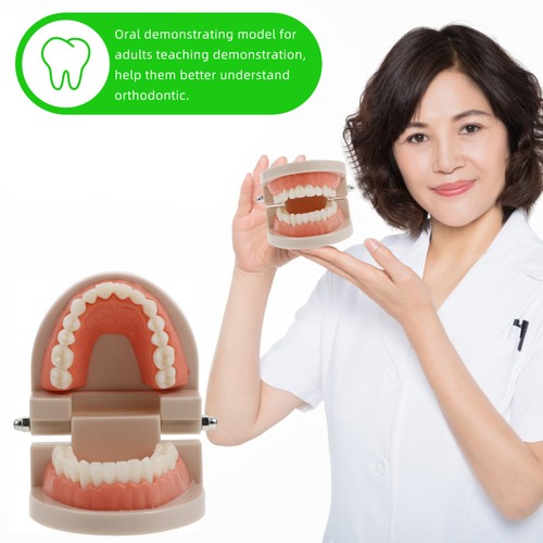 2 Sets Early Childhood Education Brushing and Washing Tools Oral Tooth Model - Bild 7 von 12