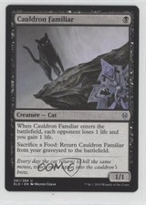 Cauldron Familiar Magic: Throne of Eldraine ELD #081