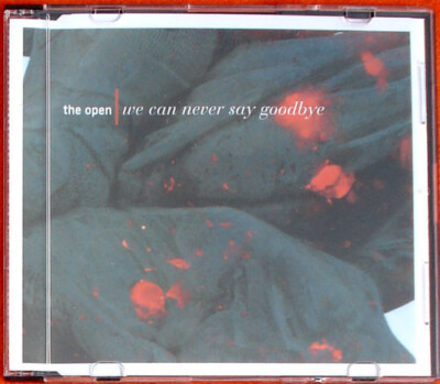 The Open - We Can Never Say Goodbye - Neue CD - L1256z