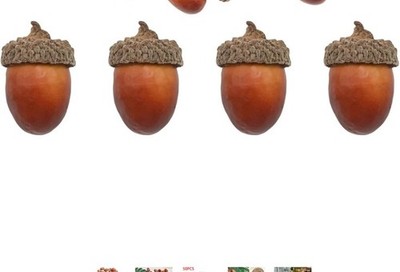  100 PCS Artificial Acorn, Fake Nutty Craft Acorns with Natural Acorn Medium