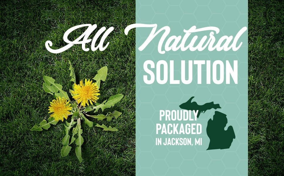 30% Vinegar - 1 Gallon - Concentrated Acetic Acid - Cleaner Vinegar