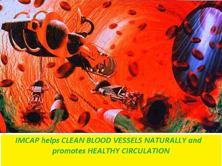 REPARACIÓN DE LIMPIEZA DE DESINTOXICACIÓN DE COLESTEROL Y HÍGADO, VITAMINA C DE CARDO MARIANO, ALGAS MARINAS Foto 4 de 4