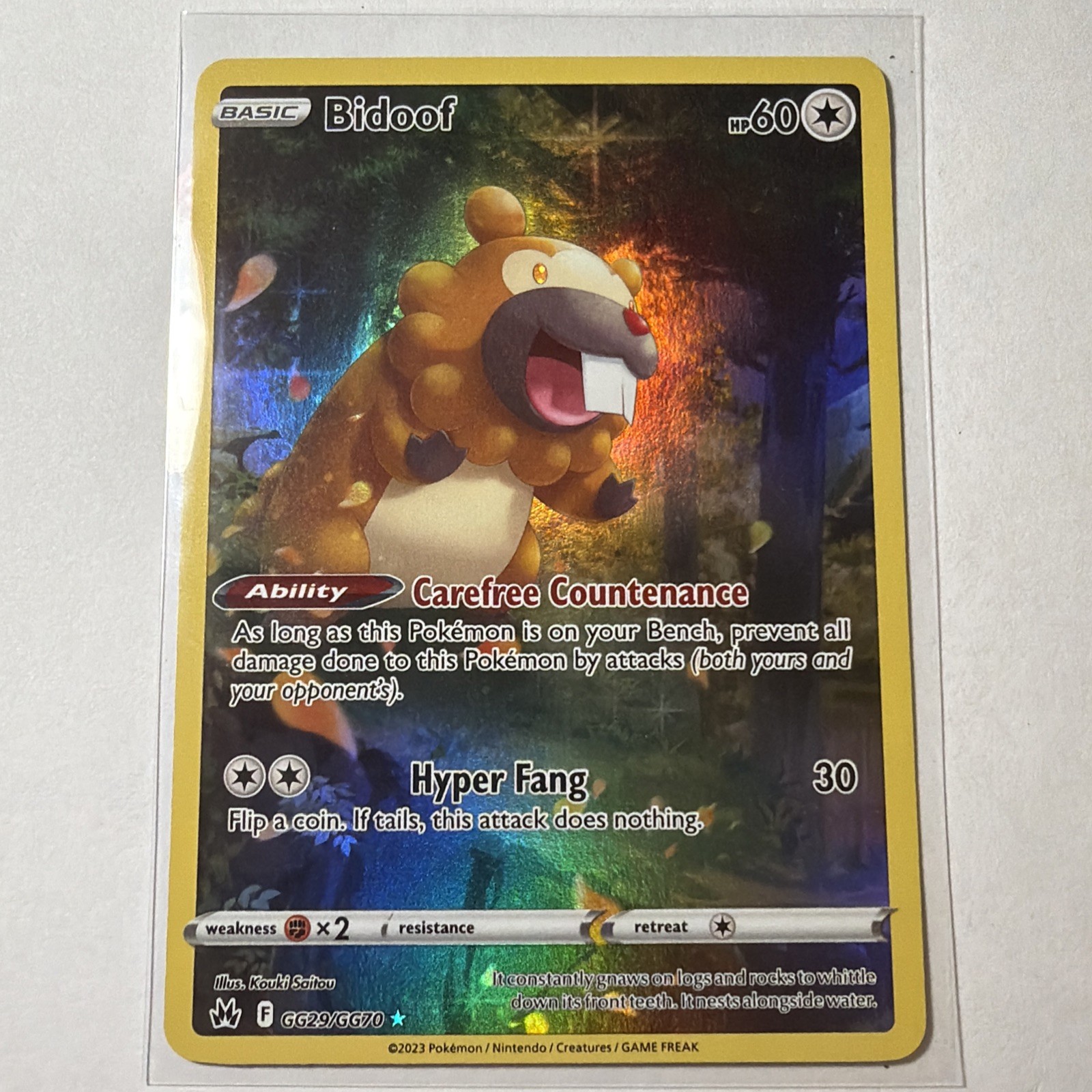 Bidoof GG29/GG70 Holo Crown Zenith Galarian Gallery Pokemon NM