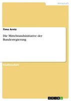 Die Mittelstandsinitiative Der Bundesregierung Timo Arntz