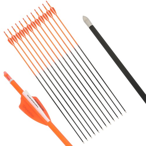 32" 24T Pure Carbon Arrows Vanes SP400-1000 ID4.2mm Archery Recurve Bow Hunting - Picture 10 of 17