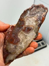 Mexican Laguna Crazy Lace Agate Slab Cabbing Carving Chakra Reiki