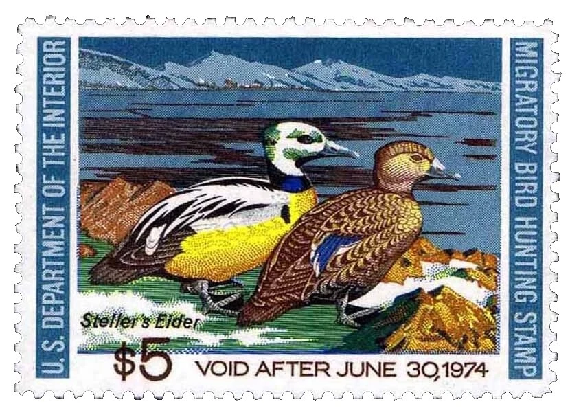 Primer día de emisión en excelente estado nunca abisagrado/estampillada sin montar o nunca montada Ducks estampillas de Estados Unidos