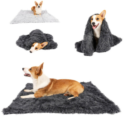 winter dog blankets