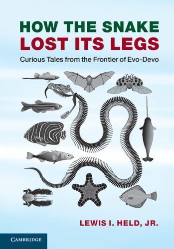 How the Snake Lost its Legs Curious Tales from the Frontier of Evo-Devo Held Jr