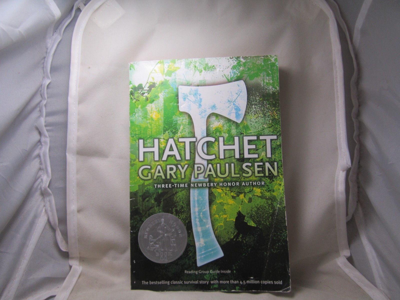 Hatchet by Gary Paulsen, PB Book, Good-Shape, 1999.