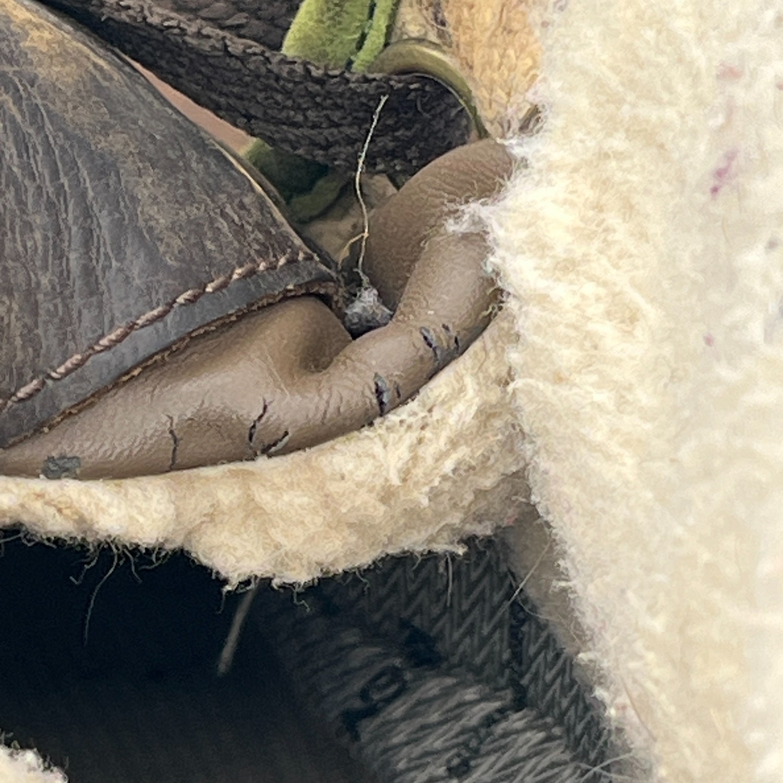 Stivali Keen Dry Snowmass donna 8 marroni shearling pieghevoli impermeabili 53015 SBEI