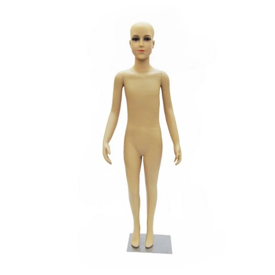 儿童塑料人体模型、女装半身模型| eBay