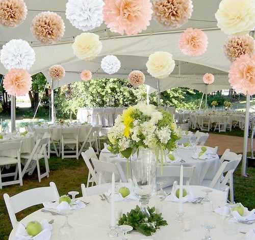 12PCs PINK Theme Mixed Tissue Pom Poms Paper Pompoms Fluffy Flower Ball Party - Picture 60 of 67