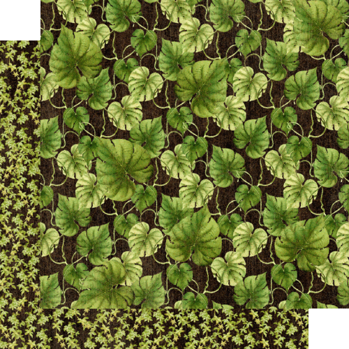 GRAPHIC 45 "TROPICAL TRAVELOGUE" 12X12 PAPER 12 PCS COMPLETE SET SCRAPJACK'S PL. - Picture 5 of 12