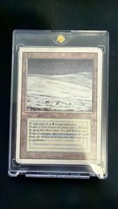 Mtg Tundra Revised | eBay