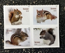 2026USA Forever Squirrels & Chipmunks in Snow - Block of 4 From Booklet  Mint